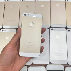 Mặt sau iPhone 5s màu vàng