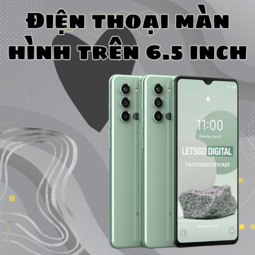 Điện thoại màn hình trên 6.5 inch